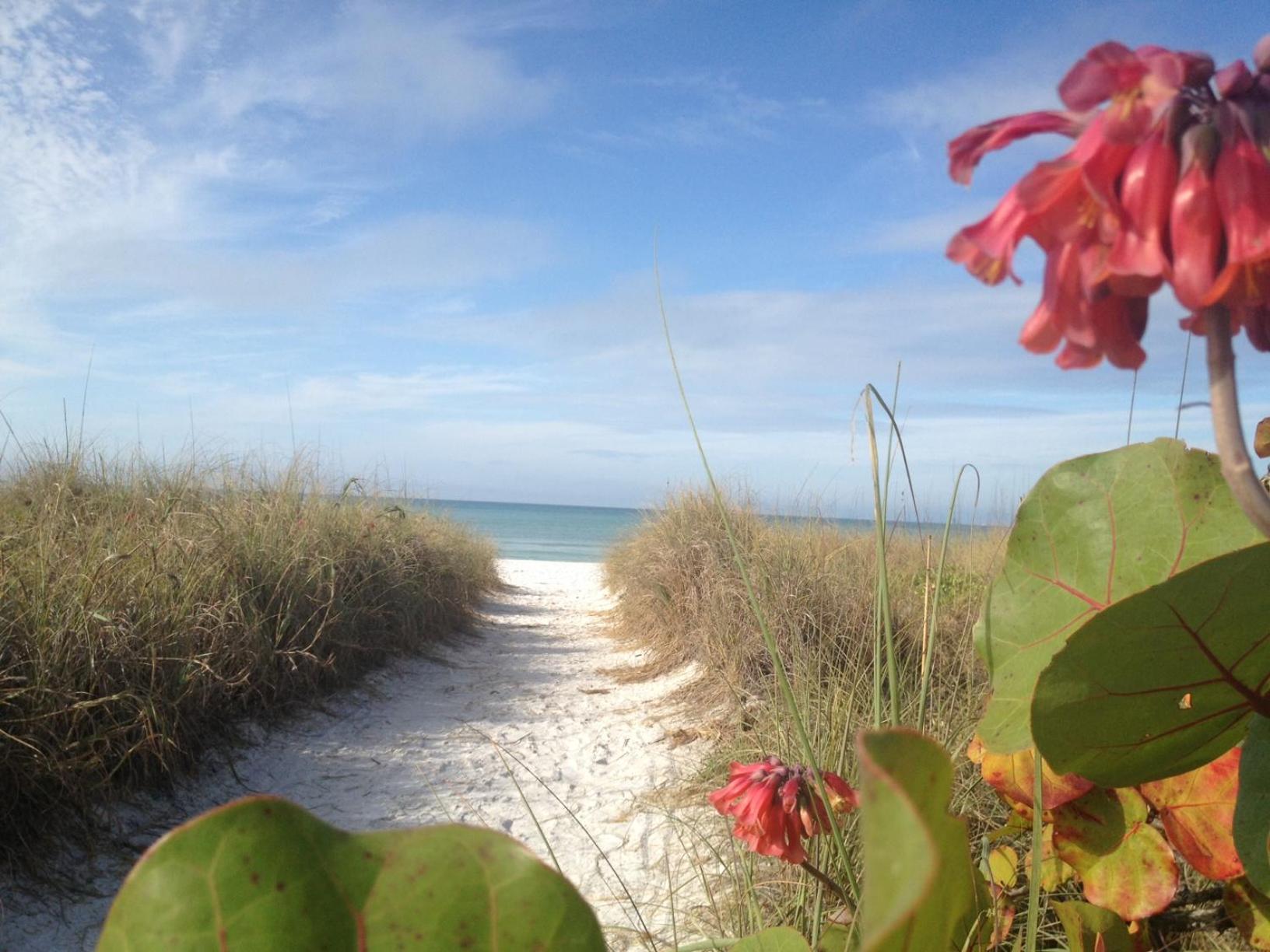 Siesta Key Inn エクステリア 写真